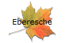 Eberesche