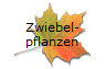 Zwiebel-
pflanzen