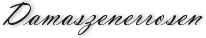 Damaszenerrosen