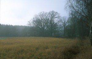 Plateau Dezember 2002