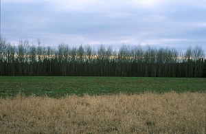 Plateau Dezember 2002