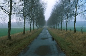 Plateau Dezember 2002