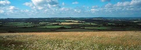 Wiltshire