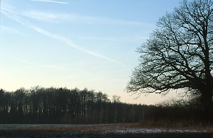 Plateau Januar 2003