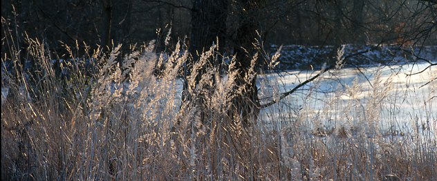 Plateau Januar 2003