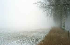 Plateau