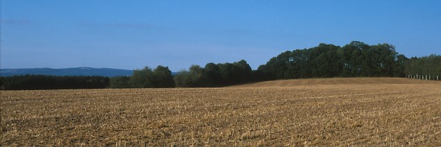 Plateau September 2003