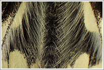 schachbrett_2011_12_makro_preview