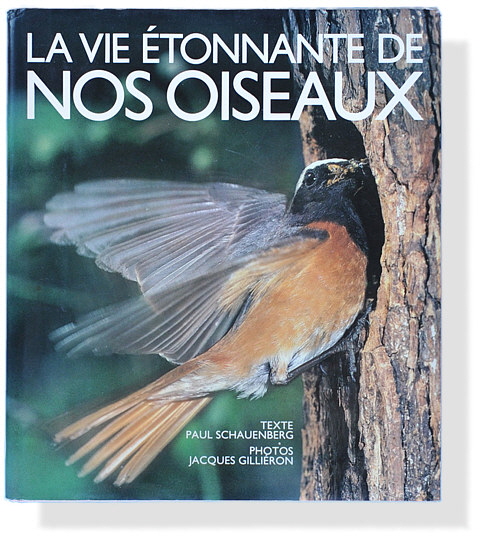 Jacques Gilliéron / Paul Schauenberg: La vie étonnante de nos oiseaux