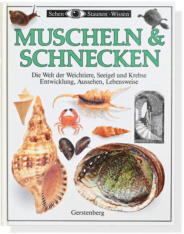 Muscheln & Schnecken