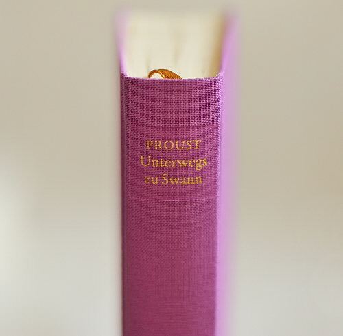 unterwegs_zu_swann unterwegs_zu_swann