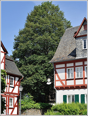herborn_5