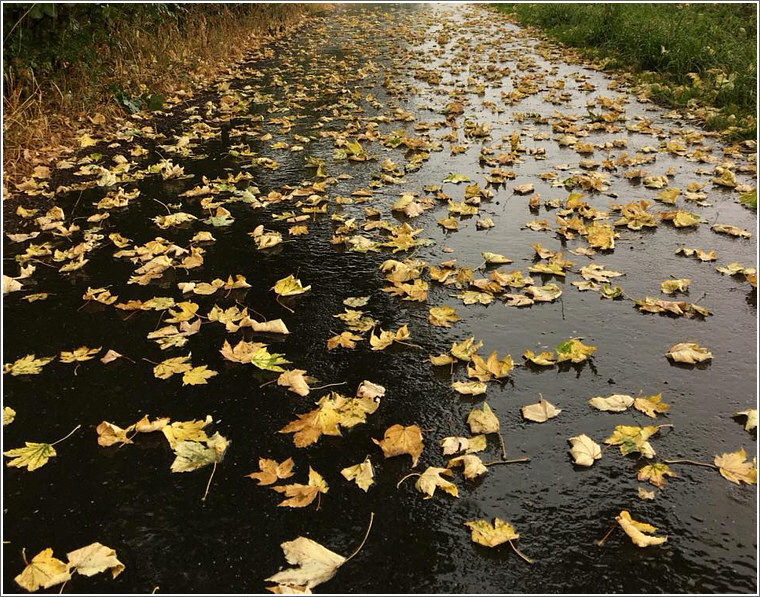 2018_07_21_kirchweg