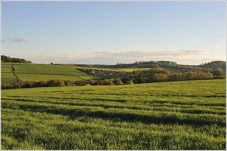 2013_05_11_reichenborn