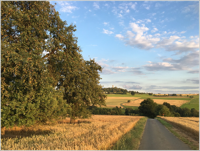 2016_07_17_reichenborn