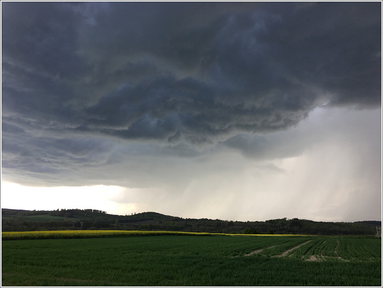 2017_05_12_reichenborn