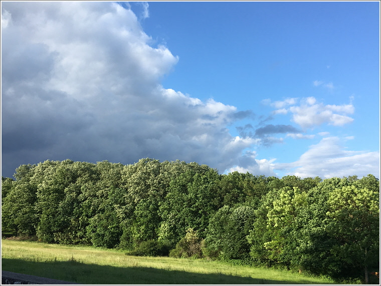 2017_06_07_reichenborn