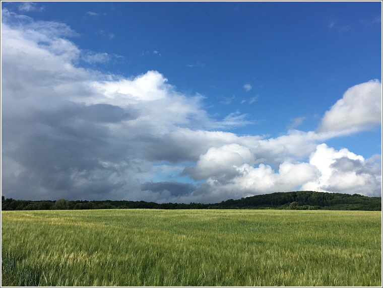 2017_06_28_reichenborn_1