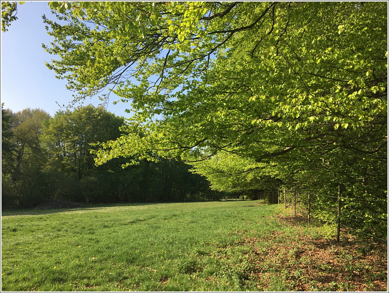 2019_05_01_roehrshahn_1