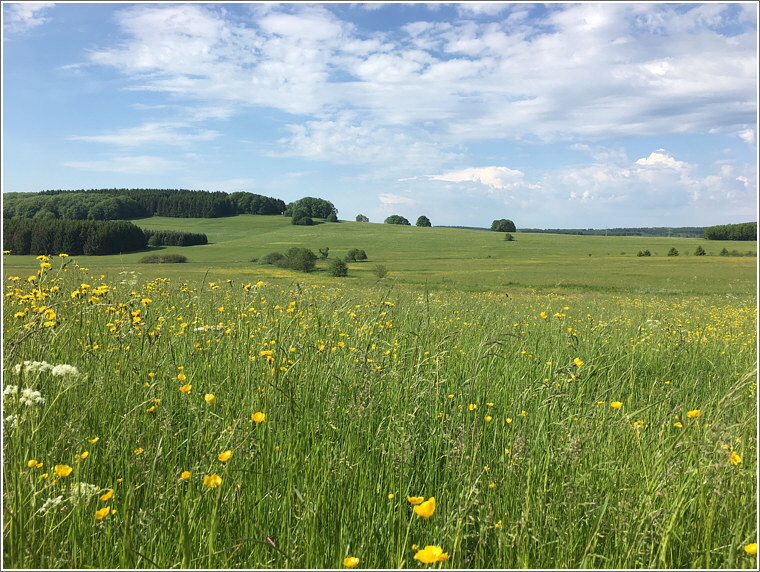 2019_06_03_hohenroth