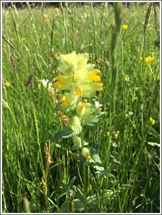 2019_06_03_hohenroth_2