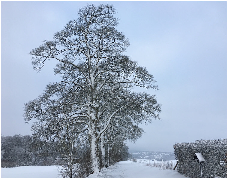 2020_02_28_kirchweg