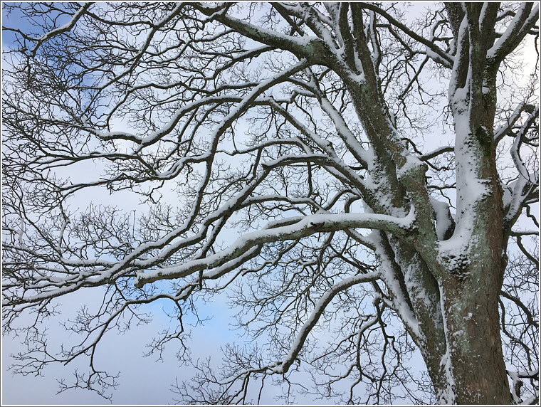 2020_02_28_kirchweg_3