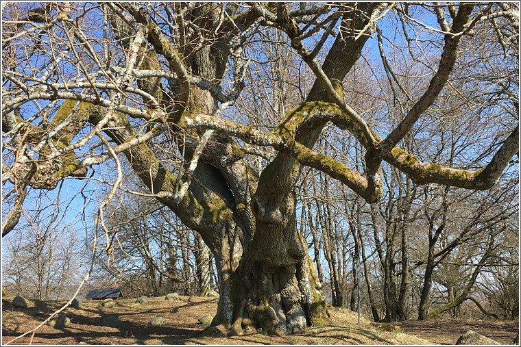 2021_03_24_mengerskirchen