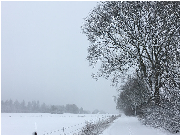 2023_03_08_kirchweg_1