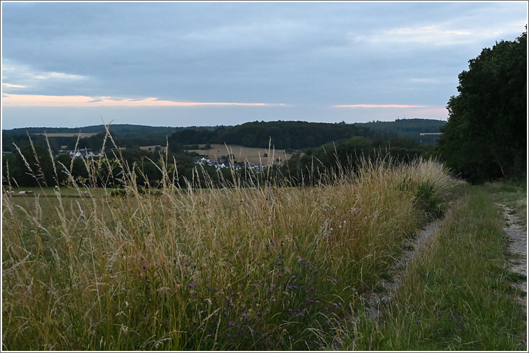 2023_06_28_kieskaute