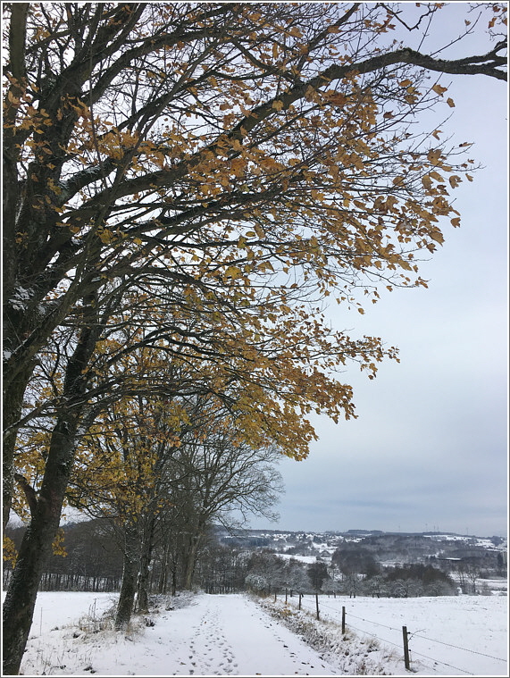 2024_11_21_kirchweg_1