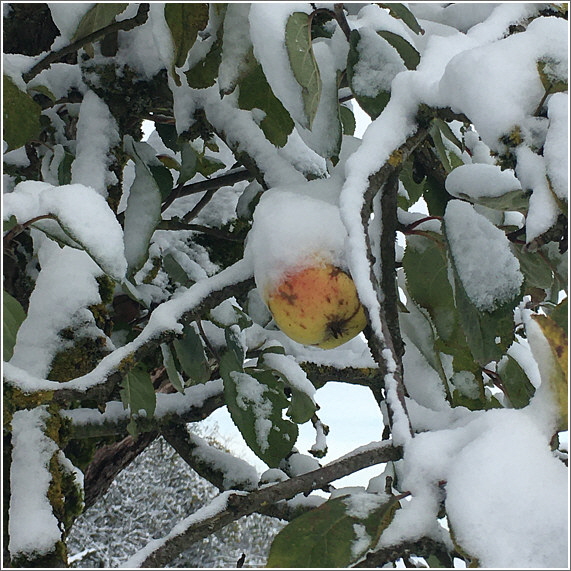 2024_11_21_kirchweg_2