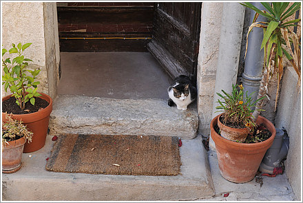 la_cadiere_2_preview