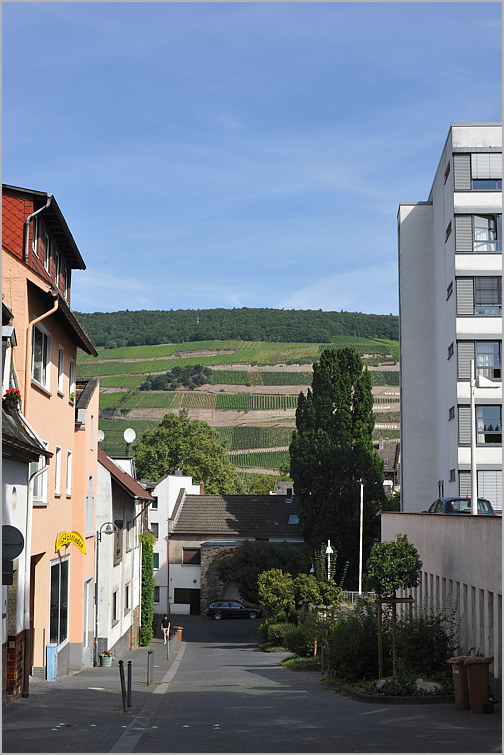 bingen_x10