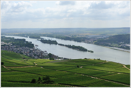 germania_rheintal_1_preview