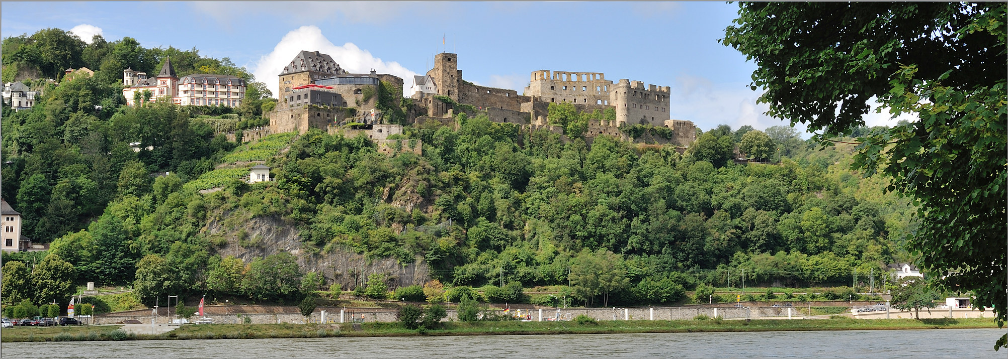 rheinfels_panorama